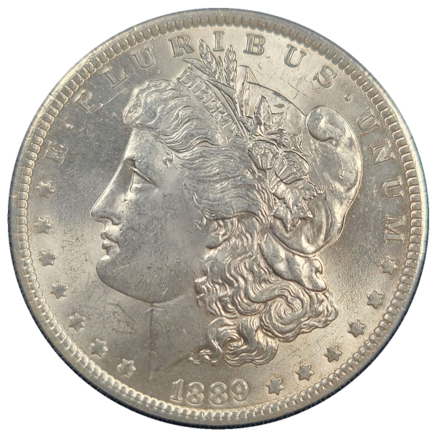 1889-$1-Morgan-Dollar-#9